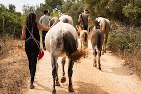 Horse Sanctuary: una passeggiata nella natura con i cavalli salvati al tuo fianco