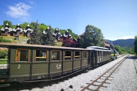 Excursión de día completo de Mokra Gora y Zlatibor a Sargan 8 y Wooden Village