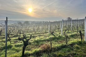 Grand Cruising - tatsing the best wines of the Rheinvalley