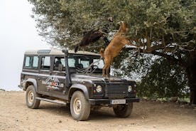 Land Rover Safari Minoan Route com motorista e almoço