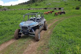 Private 1-Hour Quad or Buggy Safari in Borovets