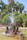 Fountain of Villa Ormond in the Alfredo Nobel park in San Remo, seaside city on the Italian Riviera. Liguria, Italy