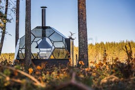 Northern Lights dinner in a Glass Igloo