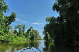 Boat excursion in the Danube Delta, with terrace and closed hall.