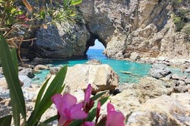 Al largo delle grotte e delle calette battute di Alanya con inc. Pranzo e trasferimenti