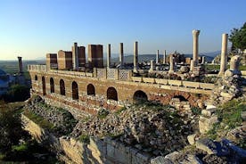 ÜBERSPRINGEN SIE DIE Warteschlange: Private Tour durch Ephesus mit traditionellem Mittagessen
