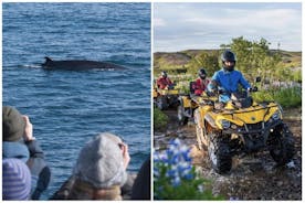 Bootstour zur Walbeobachtung und Quad-Abenteuer ab Reykjavík