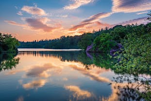 Bolam Lake Country Park