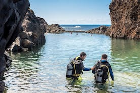 Diving in the Madeira Aquarium