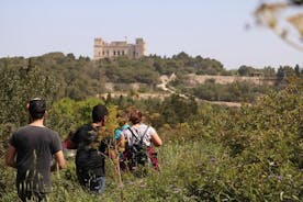 Visite privée à pied des forêts de Buskett et des falaises de Dingli