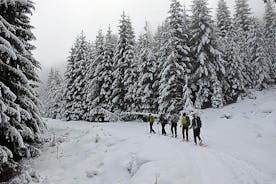 Excursão de dia inteiro com raquetes de neve na montanha Vitosha saindo de Sofia
