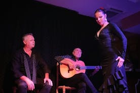 Spring over linjen: Tablao Flamenco Pura Esencia-billet