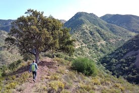 Hike the Cork Oak trail and try some Delicious Cheese