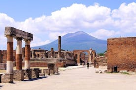 Dagtocht naar Pompeii, Herculaneum en de Vesuvius vanuit Napels