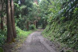 半日徒步游 Lagoa do Fogo Trail