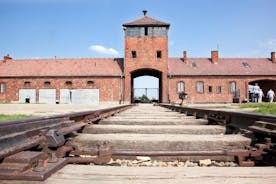 Auschwitz & Birkenau och Salt Mine på en dag