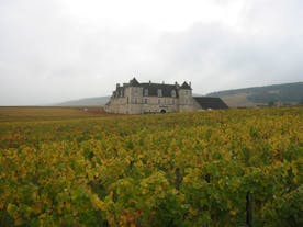 Clos de Vougeot Castle