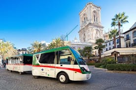 Granada City Tour Hop-on Hop-off tren