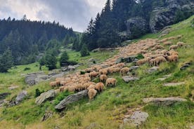 ブカレストからのTransfagarasan Roadを備えた3日間のプライベートツアールーマニア