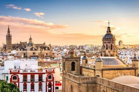 Excursão privada de dia inteiro a Sevilha a partir de Cádiz com retirada no hotel