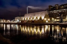Descubre los lugares más fotogénicos de Gotemburgo con un local