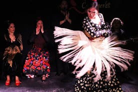 Madri Tapas locais, bares de vinho e show de flamenco