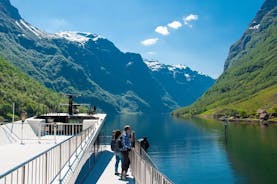 Tour guidato di un giorno: crociera premium sul Nærøyjord e ferrovia di Flåm