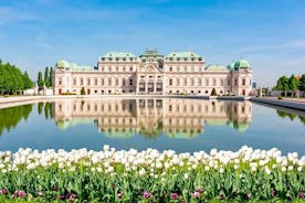 Private Transfer from Munich to Vienna with 2 hours for sightseeing