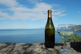 カモーリ: プライベート リグリア ワイン テイスティング体験と国立公園のウォーキング