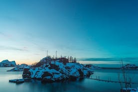 Excursão de descoberta da ilha de Senja e Kvaløya de Tromsø