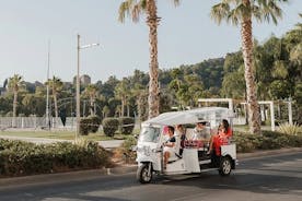 Welkomsttour naar Malaga in Private Eco Tuk Tuk