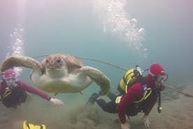 Scuba Diving Beginners Session i Costa Adeje