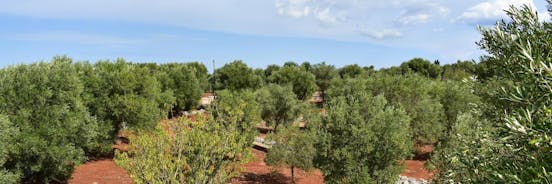 Trullo Degli Augelli