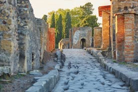 Pompejin yksityinen opastettu kierros lipuilla Caprilta
