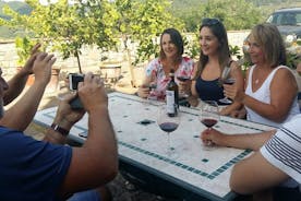 Livorno Port Shor Excursion: Montalcino Pienza Toskana vín og ostur