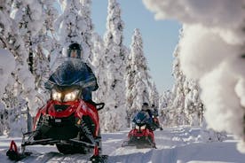 Motorschlitten-Safari in den Wald des nördlichen Polarkreises