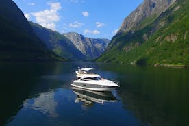 Privat dagskrydstogt i Flåm og Gudvangen, Nærøyfjord