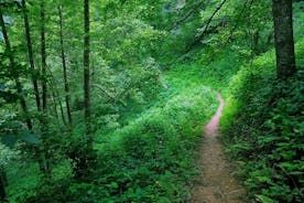 Tour del Parco Nazionale di Mtirala