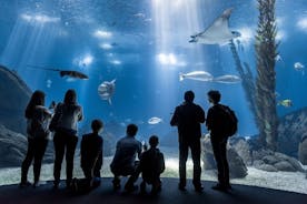 Oceanario Lissabon sædýrasafnið