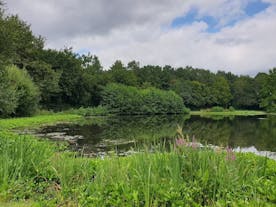 Parc des Gayeulles