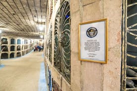 Biking a Guinness Book Winery