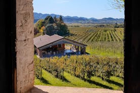 Winery Tour with Wine and Food Tasting in Valdobbiadene