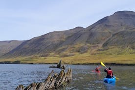 Geführte Kajaktour in Siglufjörður / Siglufjordur.