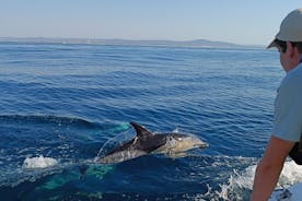 Dolphin Watching + 2 Islands Tour - From Faro