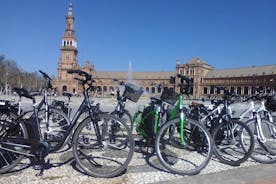 Alquiler de bicicleta eléctrica durante 3 horas