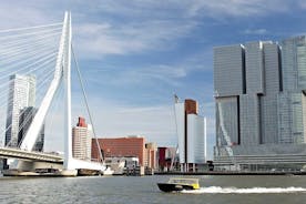 Yksityinen kiertue: Rotterdam, Markthal, vesitaksi, Wilhelminapier ja kattonäkymä