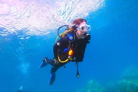 그란 카나리아 초보자를 위한 스쿠버 다이빙 체험