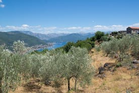 Experiência de fazenda de azeite para bifurcar e passeio a pé curto por Kotor