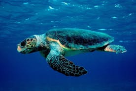 Zakynthoksen meripuisto ja kilpikonnien tarkkailu