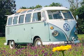 Vw Kombi Oldtimertour - Stadtzentrum 2h